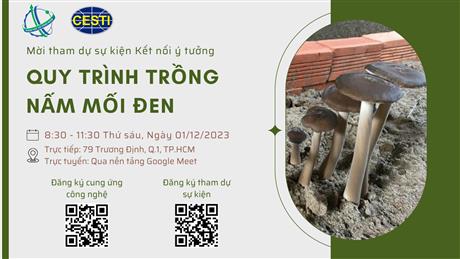 Mời tham dự sự kiện Kết nối ý tưởng với chủ đề “Quy trình trồng nấm mối đen”